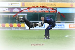 Tess van Hamersslag Tess van Hamersslag