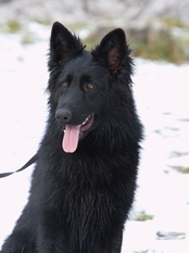 Eyna schwarze Einigkeit Eyna schwarze Einigkeit