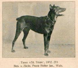 Tasso von der Traun Tasso von der Traun