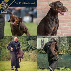 Colonel Cajo vom Schlossrudwalde Colonel Cajo vom Schlossrudwalde