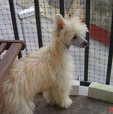 Lohamras Just Like A Teddy Bear Lohamras Just Like A Teddy Bear
