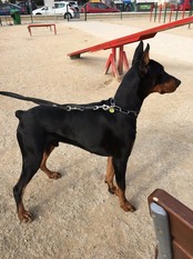 Athos (Ruiz) Athos (Ruiz)