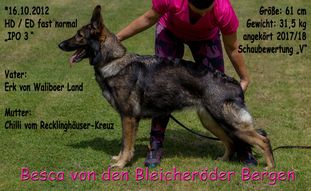 Besca von den Bleicheröder Bergen Besca von den Bleicheröder Bergen