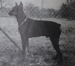Arko von der Veste Otzberg Arko von der Veste Otzberg
