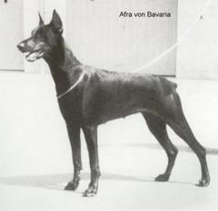 Afra von Bavaria Afra von Bavaria