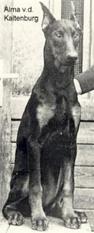 Alma von der Kaltenburg Alma von der Kaltenburg