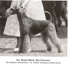 Kudos Boone and Crocket Kudos Boone and Crocket