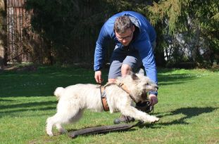 Hasenhirsch Fiete Hasenhirsch Fiete