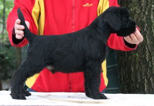 Yukon von Blackmoore Yukon von Blackmoore