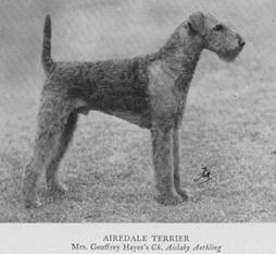 Aislaby Aethling Aislaby Aethling
