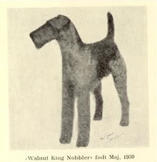Walnut King Nobbler Walnut King Nobbler