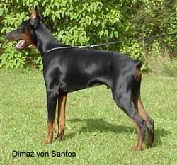 Dimaz von Santos Dimaz von Santos