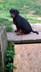 Enyo vom Hexenzauber Enyo vom Hexenzauber