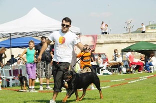 Madona vom Zica Maradona Madona vom Zica Maradona