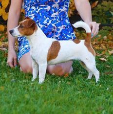 Barbie Coffee Violetta K&l Jrt Barbie Coffee Violetta K&l Jrt