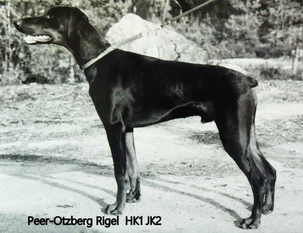 Peer-Otzberg Rigel Peer-Otzberg Rigel