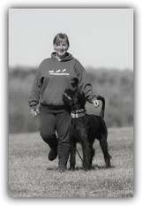 Riot von Elberfeld Riot von Elberfeld