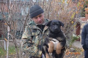 Yakudza aus Sursko-Litovsk Yakudza aus Sursko-Litovsk