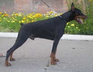 Irinland Gordon Gess Irinland Gordon Gess