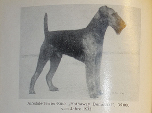 Hathaway Democrat Hathaway Democrat