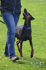 Milow (Kutsche) Milow (Kutsche)