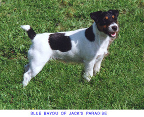 Blue Bayou of Jack's Paradise Blue Bayou of Jack's Paradise