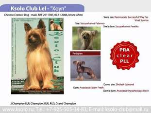 Ksolo Club Lel Ksolo Club Lel