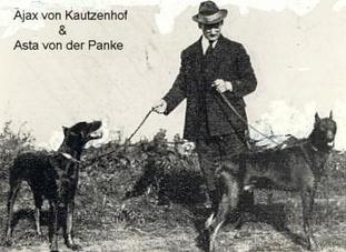 Ajax von Kautzenhof Ajax von Kautzenhof