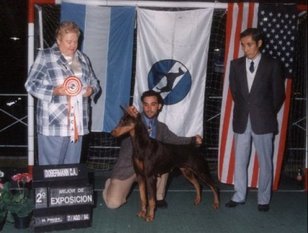 Haron Brown von Wallsal Haron Brown von Wallsal