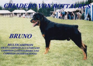 Bruno (AERCAN/LER 6509) Bruno (AERCAN/LER 6509)