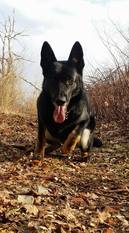Kora Milehund Kora Milehund