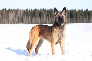Suhteellisen Viviana Suhteellisen Viviana