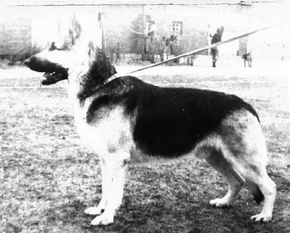 Konrad (Budkovskaya) Konrad (Budkovskaya)