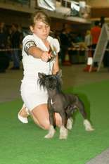 Ch.pl. Speedy Z Jasne Hvezdy Ch.pl. Speedy Z Jasne Hvezdy