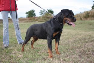 Tessa von der Holzhaussiedlung Tessa von der Holzhaussiedlung