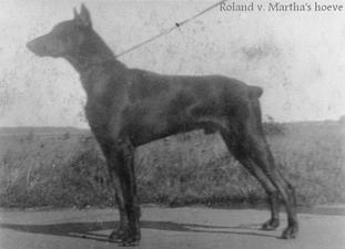 Roland van Martha's Hoeve Roland van Martha's Hoeve