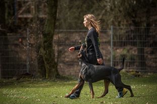 Artus vom Ellersgrund Artus vom Ellersgrund