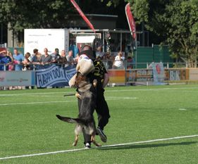 Tess van Hamersslag Tess van Hamersslag