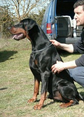 Ekthor del Tibur Ekthor del Tibur