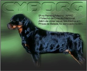 Cyborg Kaiser zum Ritter Cyborg Kaiser zum Ritter