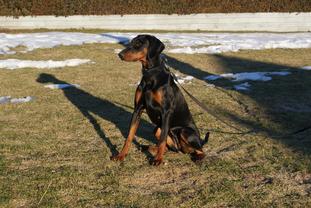 Baskerne's Asti Baskerne's Asti