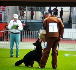 Panja von der Emsaue Panja von der Emsaue