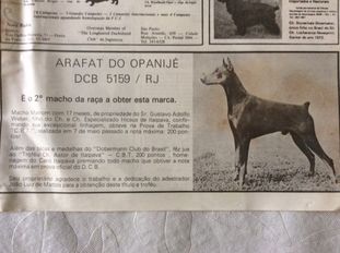 Arafat Do Opanije Arafat Do Opanije
