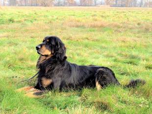 Arko von der Spreeaue Arko von der Spreeaue