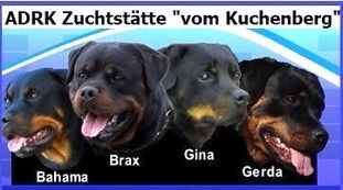 Kliff vom Kuchenberg Kliff vom Kuchenberg