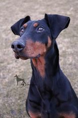 Una (MET Dob.06/04/2015) Una (MET Dob.06/04/2015)