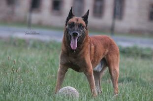 Gino von den kleinen Helden Gino von den kleinen Helden