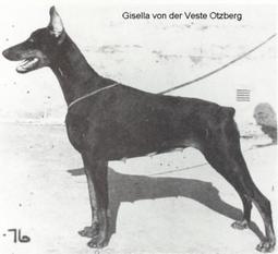 Gisella von der Veste Otzberg Gisella von der Veste Otzberg