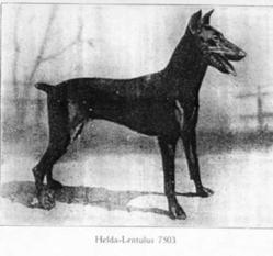 Helda Lentulus Helda Lentulus