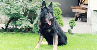 Ares Zitavska Dolina Ares Zitavska Dolina